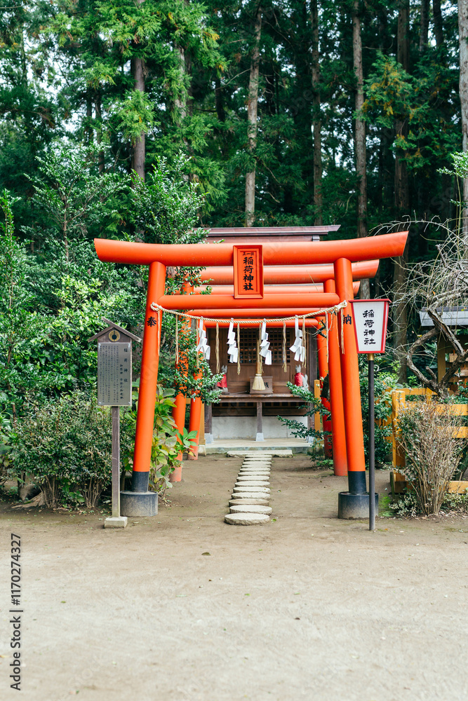 水戸八幡宮内の稲荷神社 赤い鳥居(茨城県水戸市) 水戸八幡宮内の稲荷神社 赤い鳥居(茨城県水戸市)