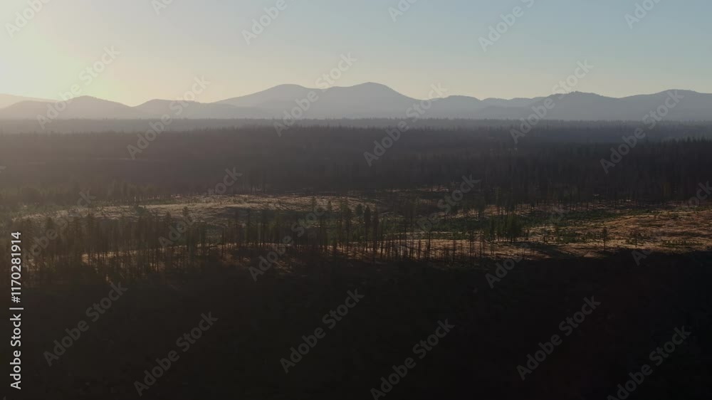 Aerial establishing tracking right of Lassen National Forest with sweeping burned barren tree covered hills silhouettes