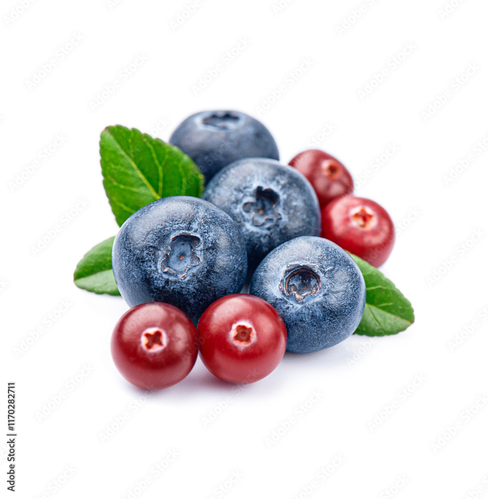 Blueberries and cranberries with leaves Blueberries and cranberries with leaves
