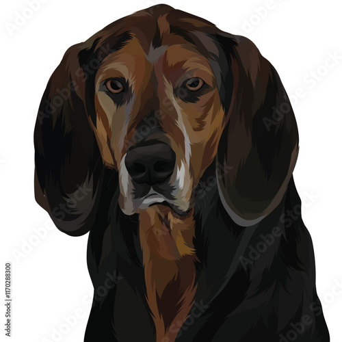 great dane dog