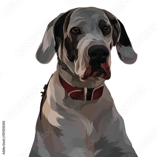 great dane puppy