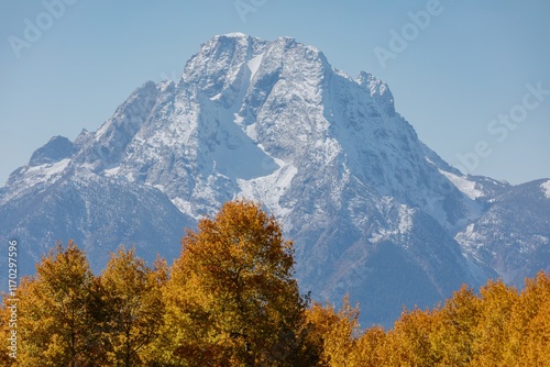 Autumn foliage frames a snow-capped mountain peak. Fall colors contrast with winter's beauty. Grand Teton National Park, Moran, Wyoming, USA. photo