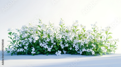 Delicate White Flowers Blooming Lushly in Springtime