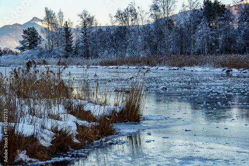 Magical frosty winter landscape with reeds on the frozen lake. Walchsee, Tyrol, Austria photo