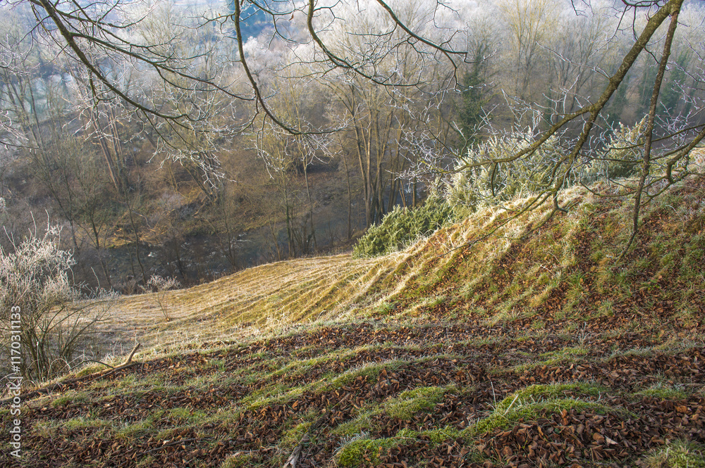 Fototapeta premium Ausblick von Hügel mit frostbedeckten Terrassen in Abgrund mit Fluss am schönrain in Neckartenzlingen