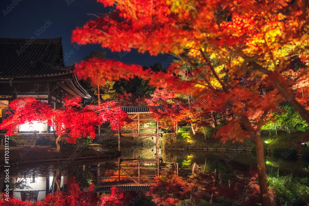 Kodaiji temple autumn garden light up with reflection, Kyoto Kodaiji temple autumn garden light up with reflection, Kyoto