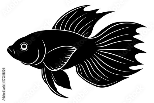 Betta fish vector silhouette on white background