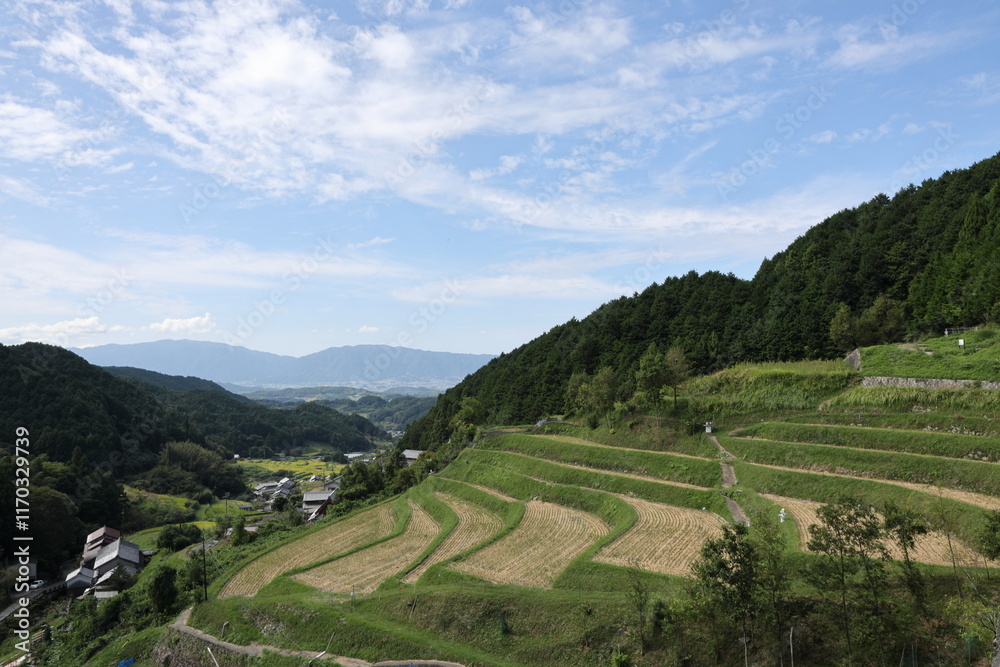 田舎の風景 田舎の風景