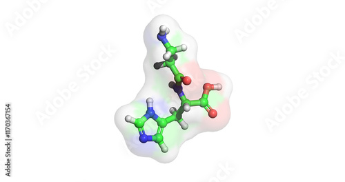 Carnosine, Dipeptide, nutraceutical, 3D molecule 4K photo