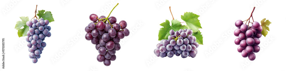 Fototapeta premium Purple grapes fresh isolated on white background. Mix Collection Png.