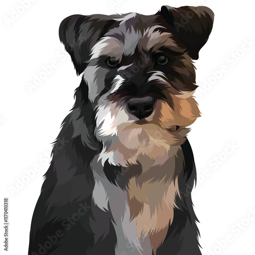schnauzer dog portrait