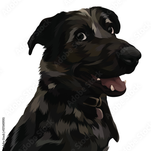 black dog portrait