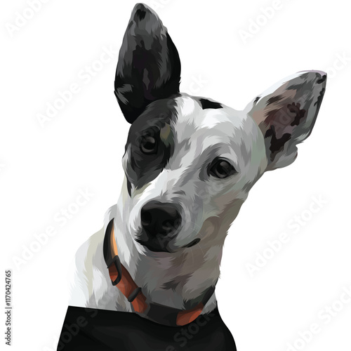 great dane dog