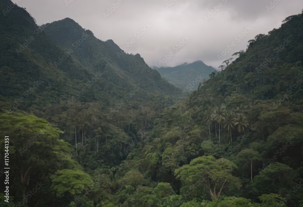 Fototapeta premium A winding path through a lush forest with palm trees and ferns