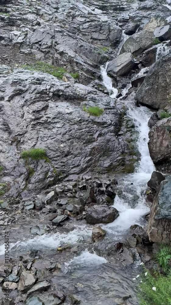 A high-altitude landscape with alpine grasses, massive rocks, and a rushing stream descending from majestic mountains. A high-altitude landscape with alpine grasses, massive rocks, and a rushing stream descending from majestic mountains.