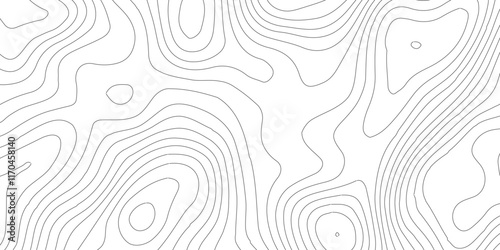 Background of topographic line contour map,Vintage outdoors style. World map Template,Luxury black abstract line art,web, geographic grid map vector illustration.vector geographic contour mounted map,