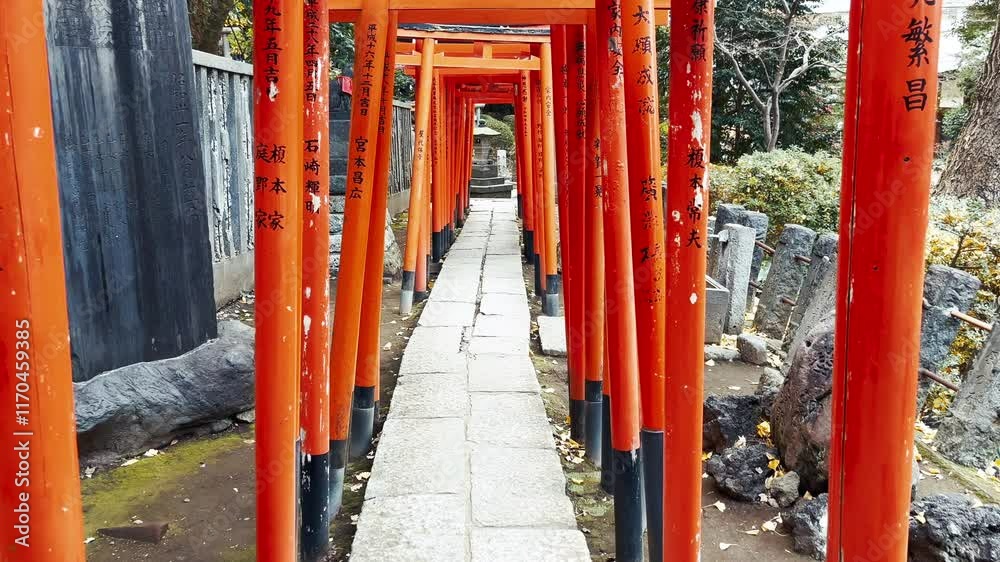 乙女稲荷神社 千本鳥居 歩行ショット