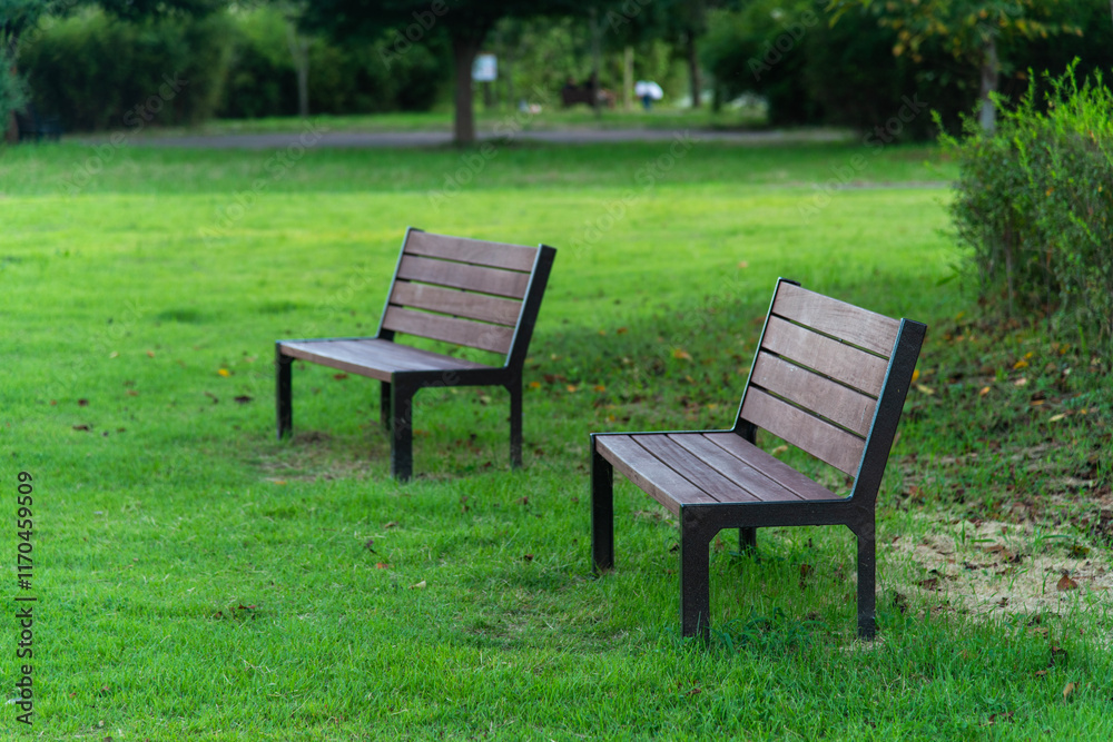 empty wooden benches in the park empty wooden benches in the park