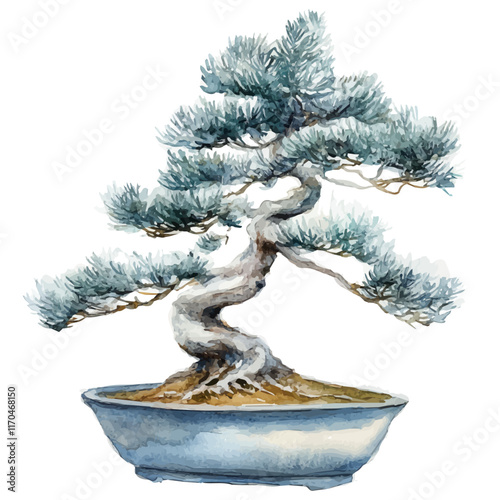 A watercolor vector painting of a Silver Fir Bonsai tree, isolated on a white background. Silver Fir Bonsai tree vector.

