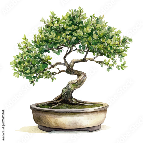 A watercolor vector painting of a Silk Tree Bonsai, isolated on a white background. Silk Tree Bonsai vector.

