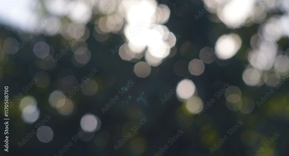 Obraz premium Green bokeh background