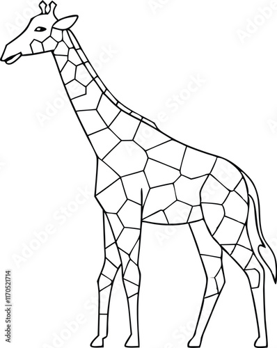 Giraffe one line continuous vector illustraiton. Concept animal zoo banner. Line art, outline silhouette