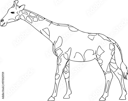 Giraffe one line continuous vector illustraiton. Concept animal zoo banner. Line art, outline silhouette