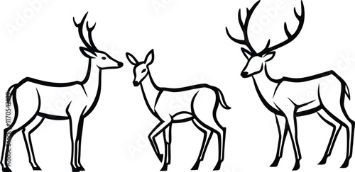 Graphic black silhouettes of wild deers – male, female and roe deer