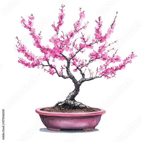 A watercolor vector painting of a Redbud Bonsai tree, isolated on a white background. Redbud Bonsai tree vector.

