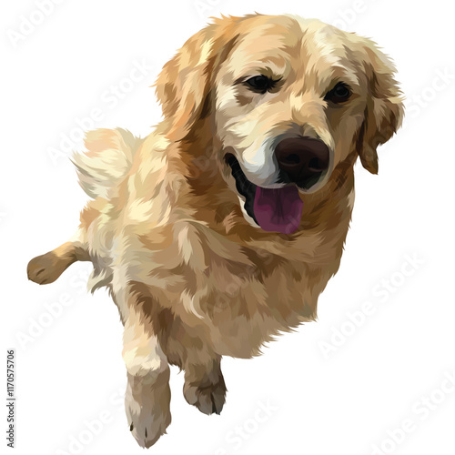 golden retriever dog