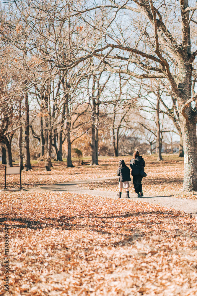 Fototapeta premium 秋の公園を歩く親子の後ろ姿(冬の加曽利貝塚の風景)