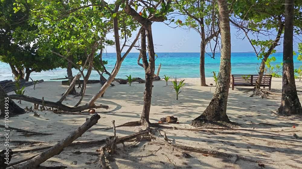 This is what almost the entire island of Dhigurah in the Maldives looks like This is what almost the entire island of Dhigurah in the Maldives looks like