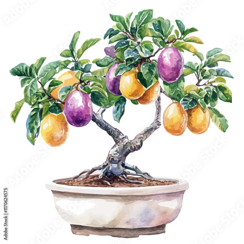 A watercolor vector painting of a Passionfruit Bonsai tree, isolated on a white background. Passionfruit Bonsai tree vector.

