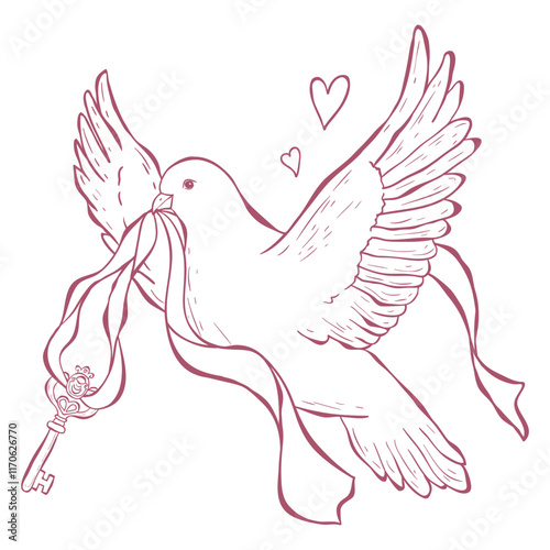 Dove with Key and Ribbon Illustration.