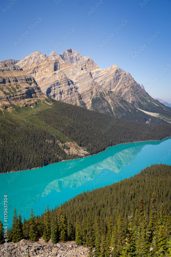 Obraz premium banff national park peyto lake