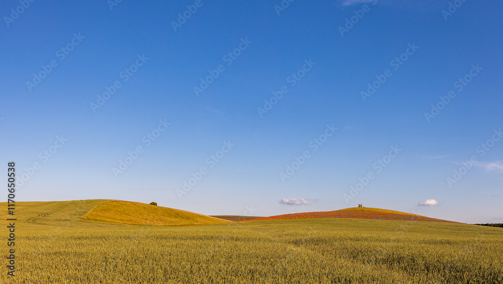 Fototapeta premium Panorama weite Felder Wisen Sommerwiesen