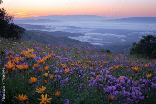 Purple and yellow flowers field during sunrise with a sea of clouds and mountains in the distance
