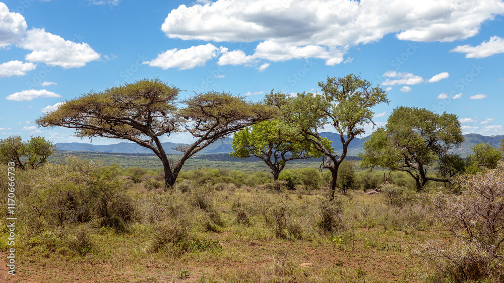Beautiful landscape in the Manyoni Private Game Reserve in KwaZulu-Natal in South Africa Beautiful landscape in the Manyoni Private Game Reserve in KwaZulu-Natal in South Africa