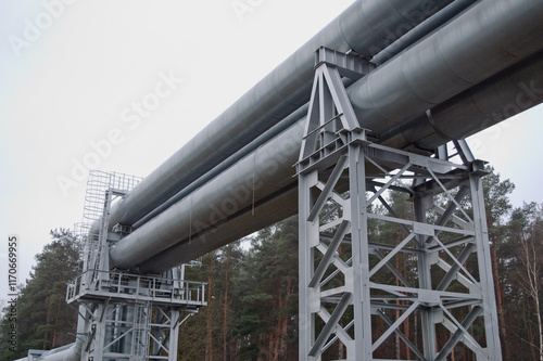 pipeline against the backdrop of a gray sky and forest in photo