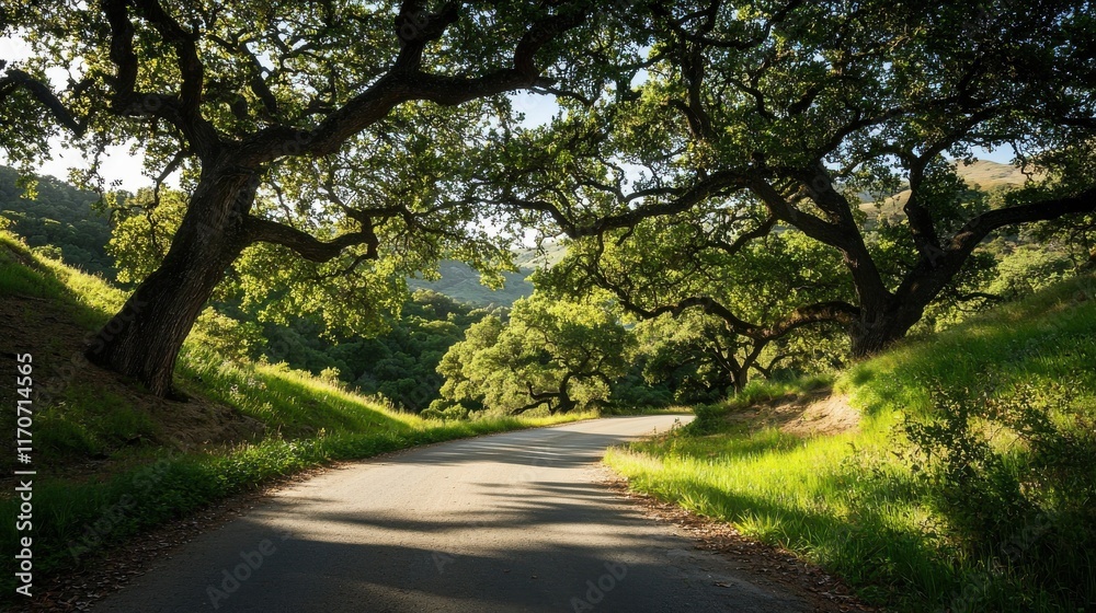 Scenic drive along winding country road lined with ancient oak trees in serene landscape nature Scenic drive along winding country road lined with ancient oak trees in serene landscape nature