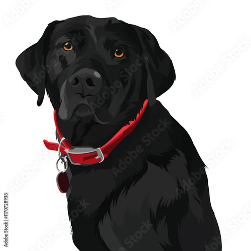 black labrador retriever