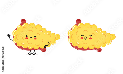 Pancreas character. Vector hand drawn cartoon kawaii character illustration icon. Isolated on white background. Pancreas character concept