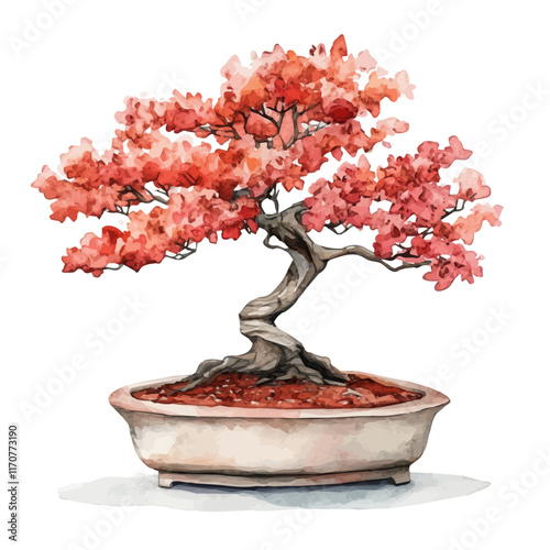 A watercolor vector painting of a Katsura Bonsai, isolated on a white background. Katsura Bonsai vector.

