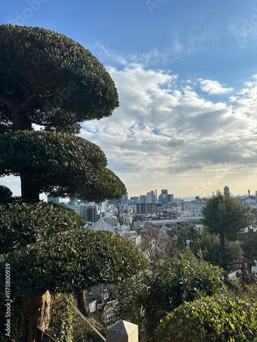 view from the top of the hill