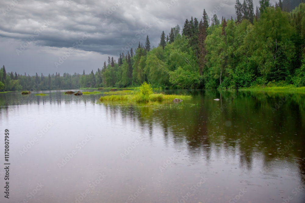 Obraz premium Summerlake and forest shoreline 