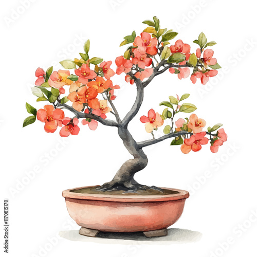 A watercolor vector painting of a Japanese Quince Bonsai, isolated on a white background. Japanese Quince Bonsai vector.

