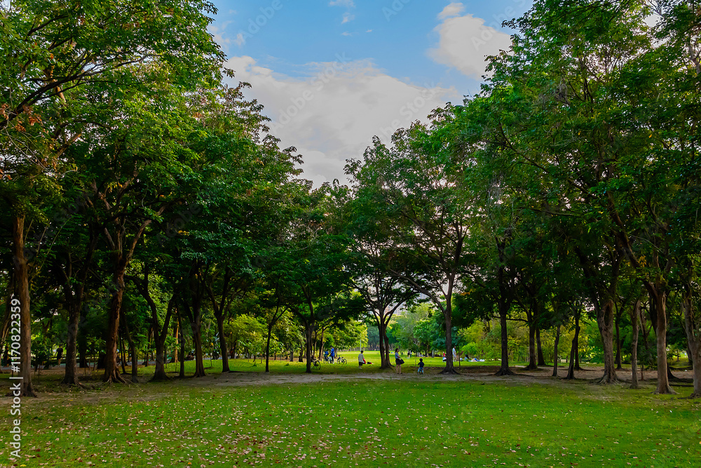 Green beautiful park and blue sky in evening. Green beautiful park and blue sky in evening.