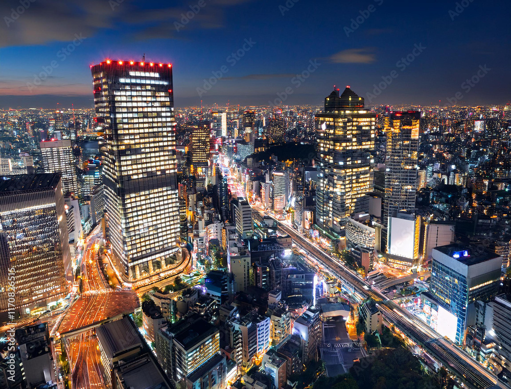 Fototapeta premium 都会の夜景