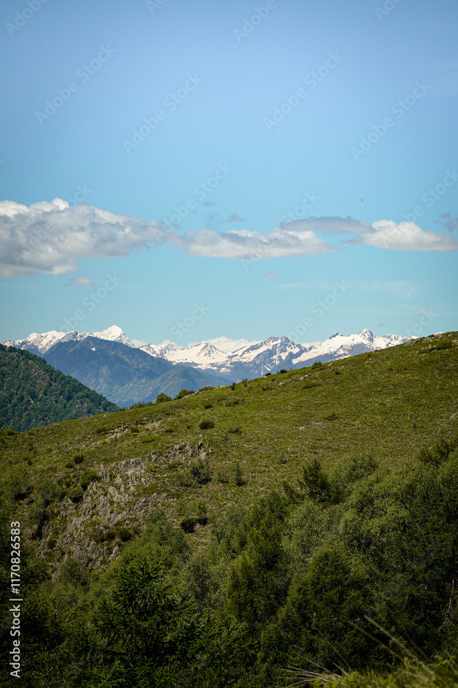 Fototapeta premium Grass mountain top with a cliff and snow covered Swiss alps in the background with one cloud stripe in the sky, Switzerland