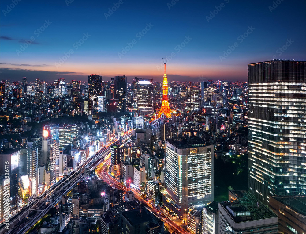 Fototapeta premium 都会の夜景
